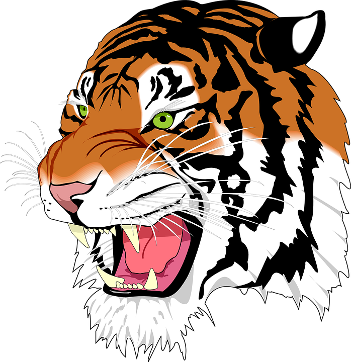 Detail Sumatran Tiger Nomer 3