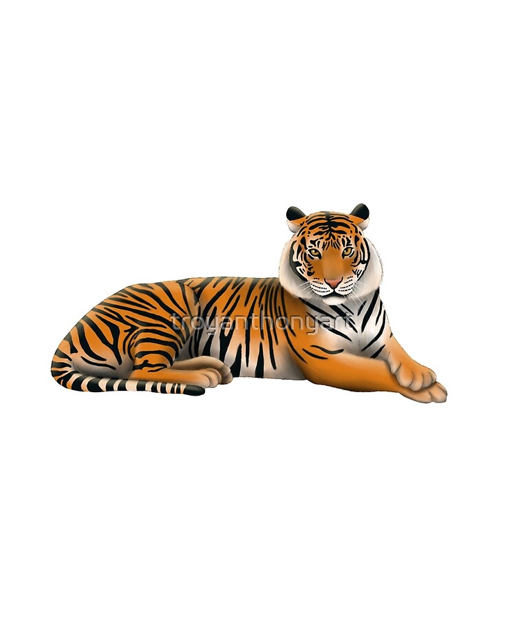 Detail Sumatran Tiger Nomer 7