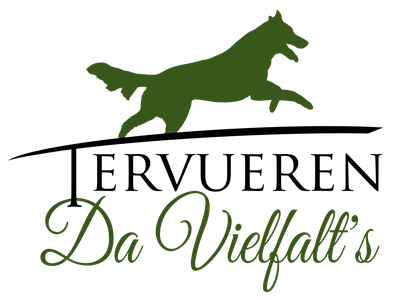 Detail Tervueren Welpen Nomer 9