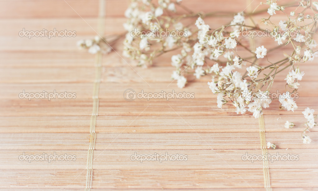 Detail Soft Background Nomer 52