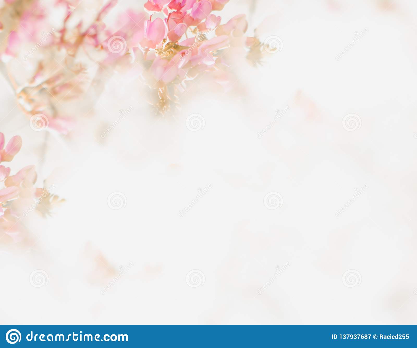 Detail Soft Background Nomer 55