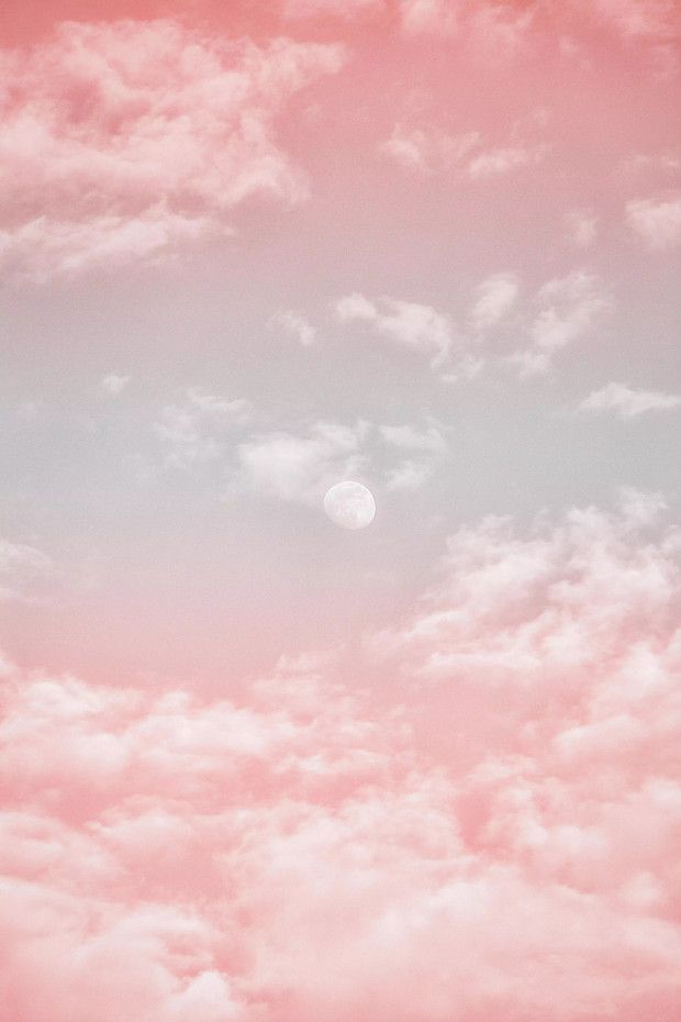 Detail Soft Background Aesthetic Nomer 45