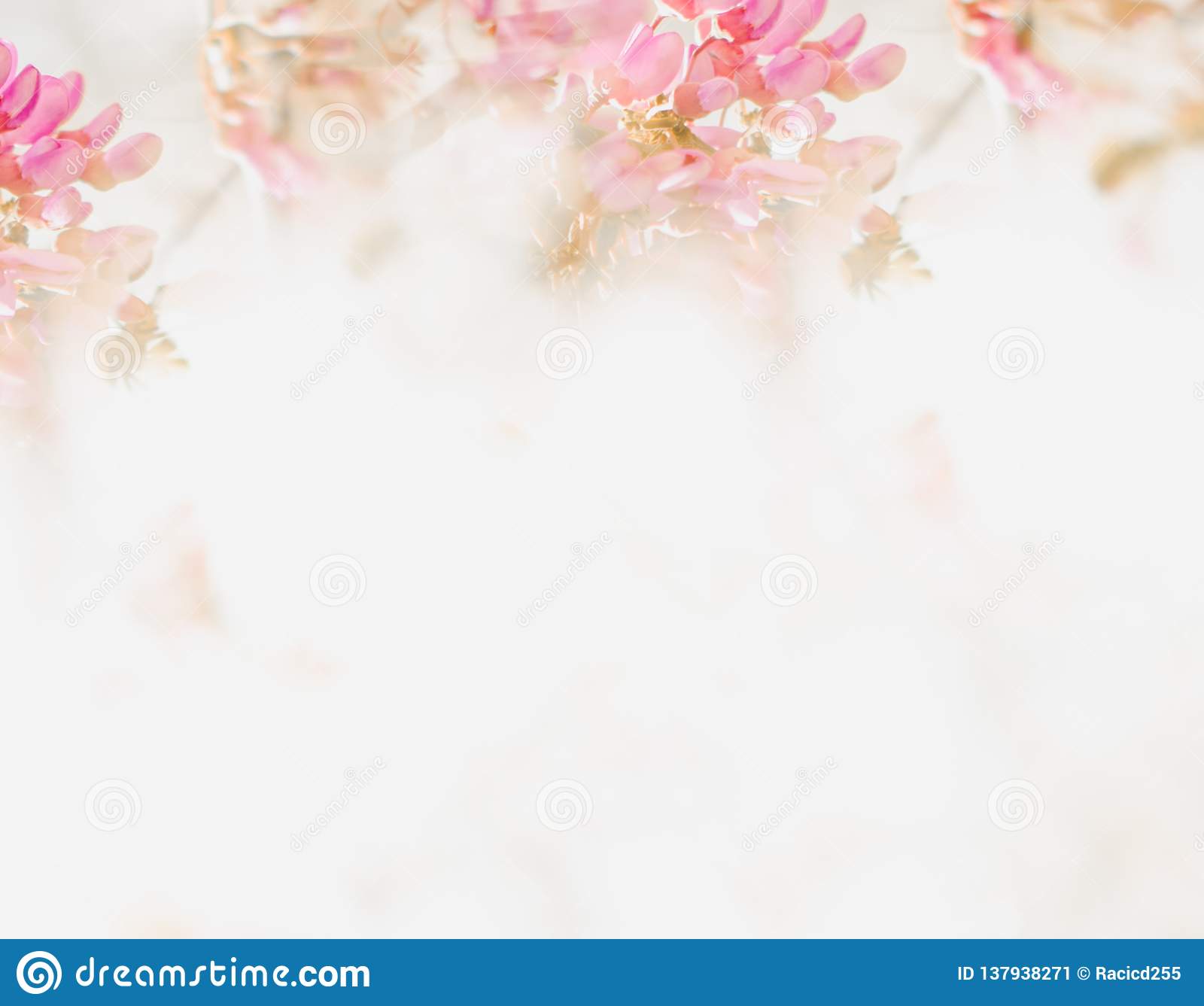 Detail Soft Background Flower Nomer 15