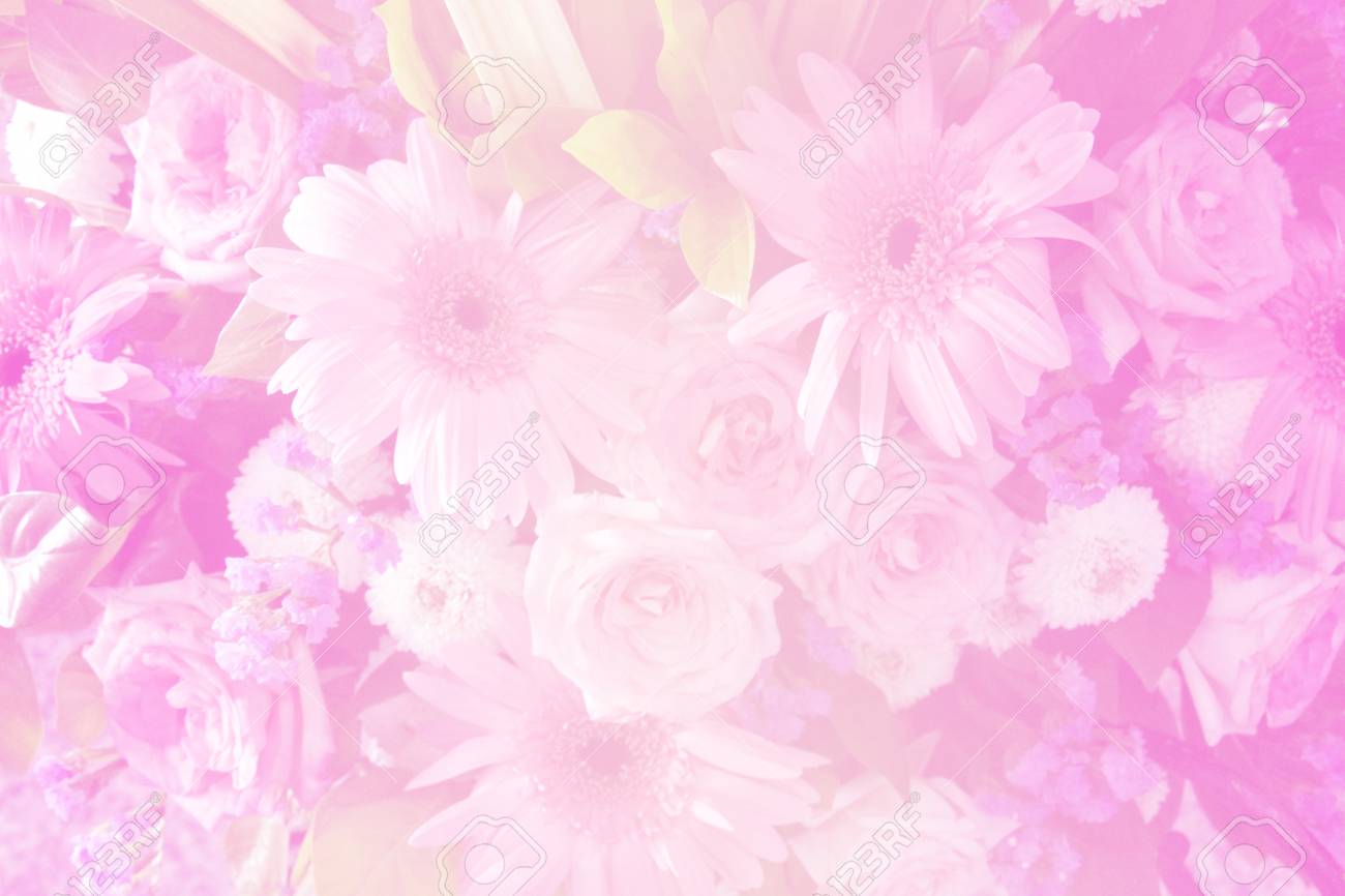 Detail Soft Background Flower Nomer 21