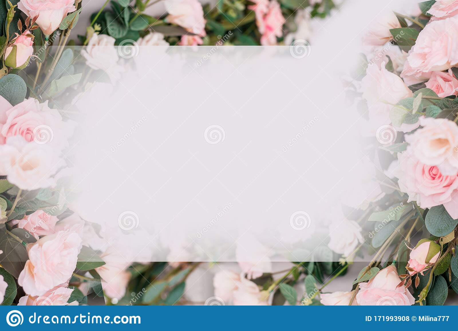 Detail Soft Background Flower Nomer 23