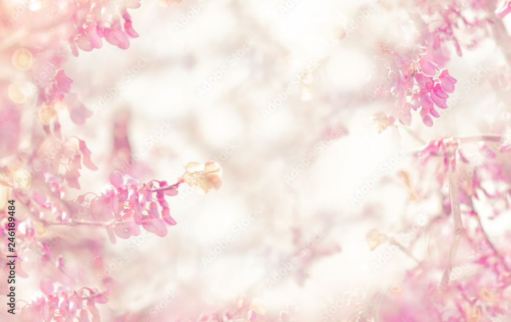 Detail Soft Background Flower Nomer 25