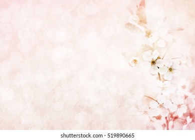 Detail Soft Background Flower Nomer 27