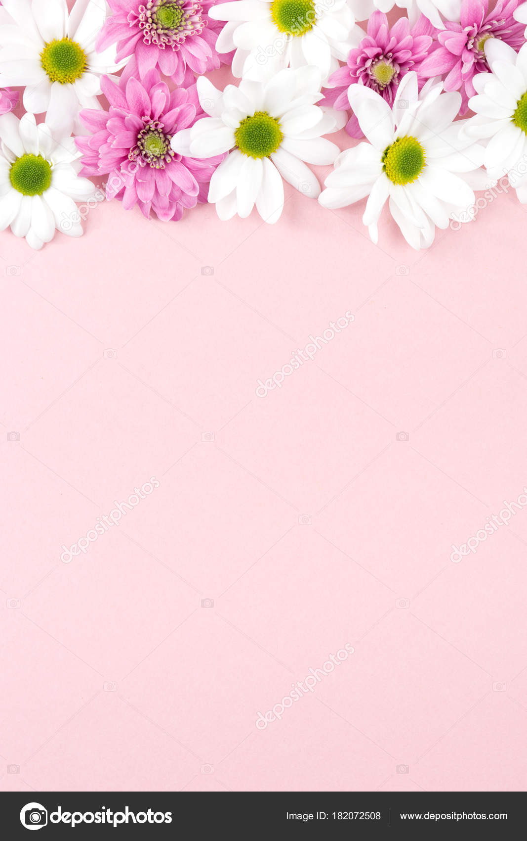 Detail Soft Background Flower Nomer 28