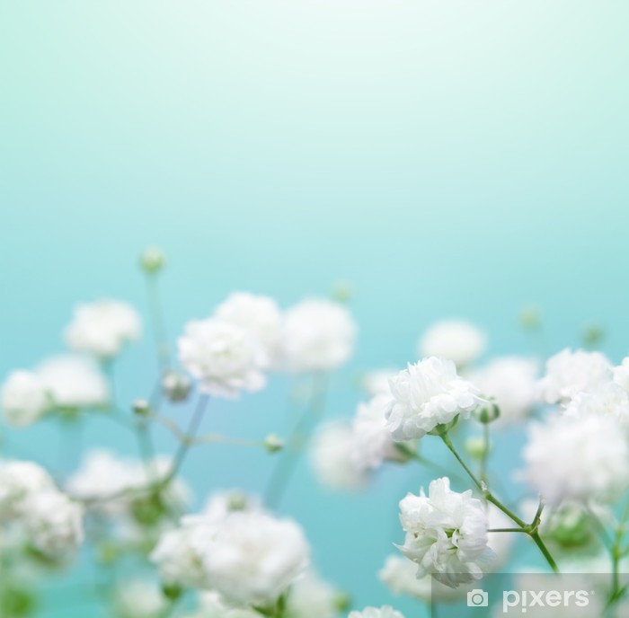 Detail Soft Background Flower Nomer 30