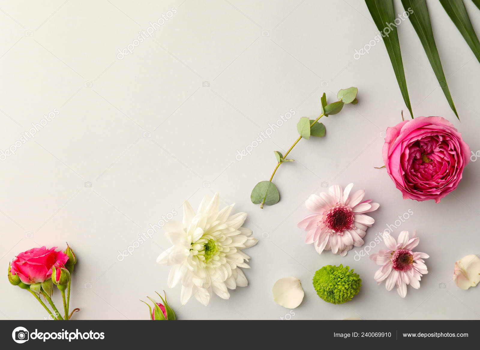 Detail Soft Background Flower Nomer 39