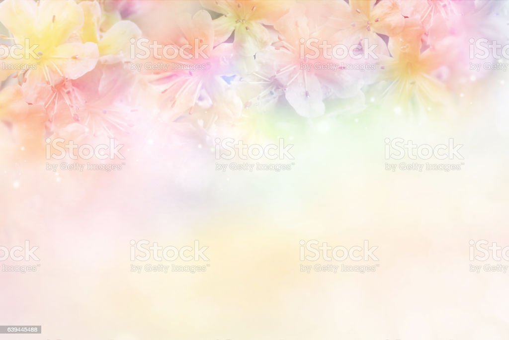 Detail Soft Background Flower Nomer 48