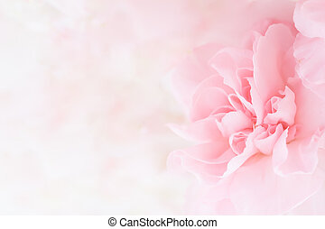 Detail Soft Background Flower Nomer 56