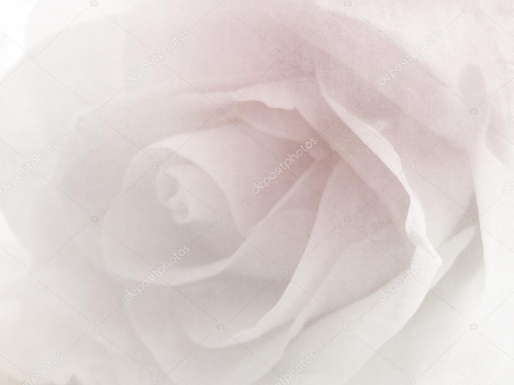 Detail Soft Background Flower Nomer 57