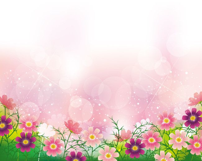 Detail Soft Background Flower Nomer 8