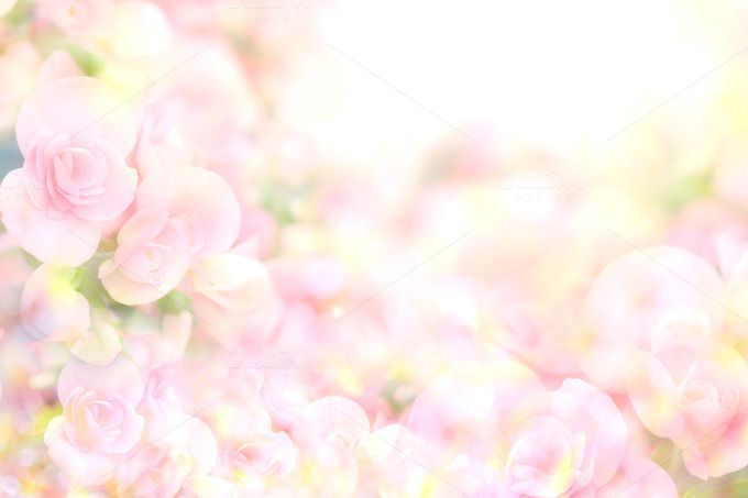 Soft Flower Background - KibrisPDR