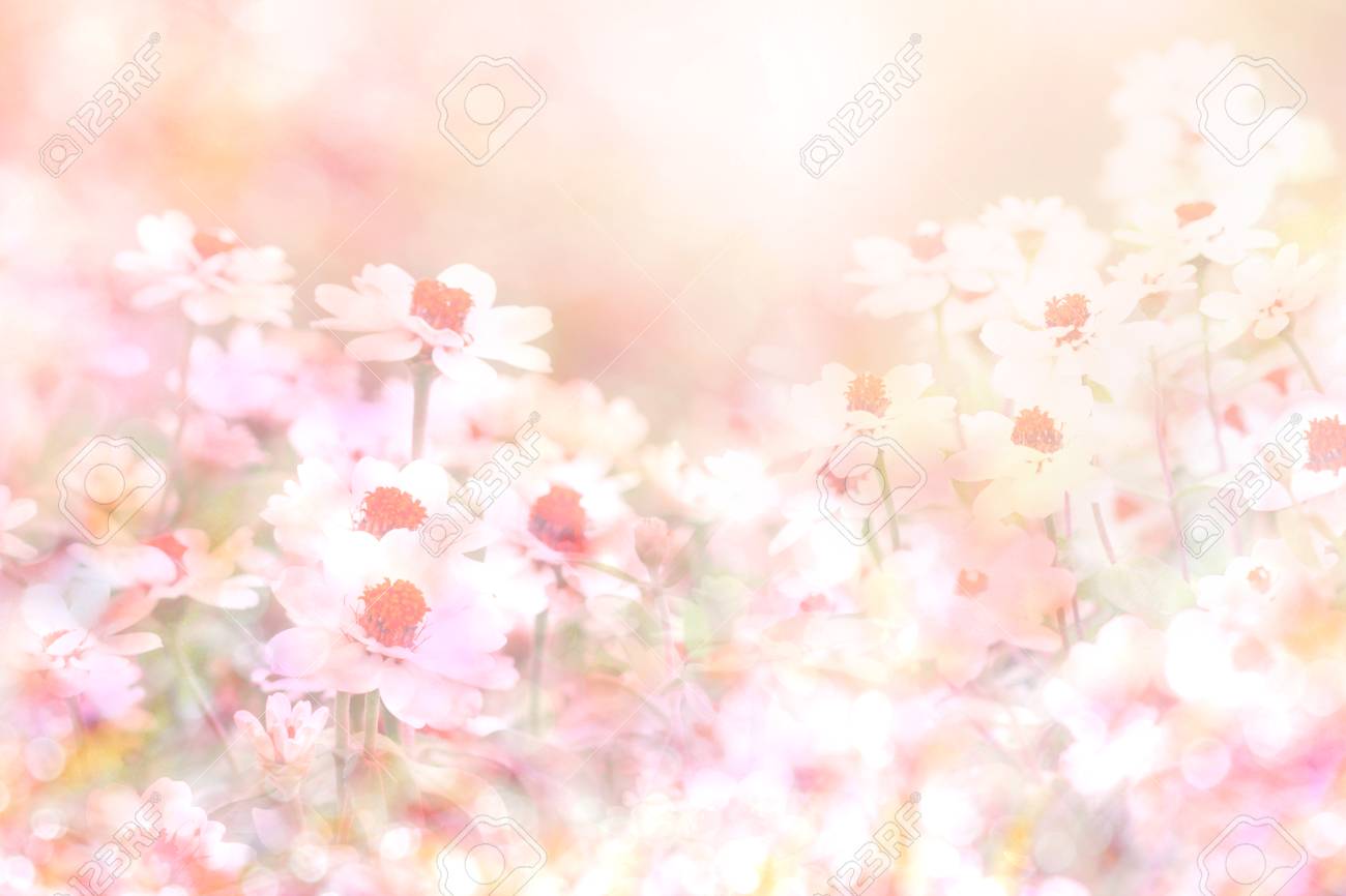 Detail Soft Flower Background Nomer 11