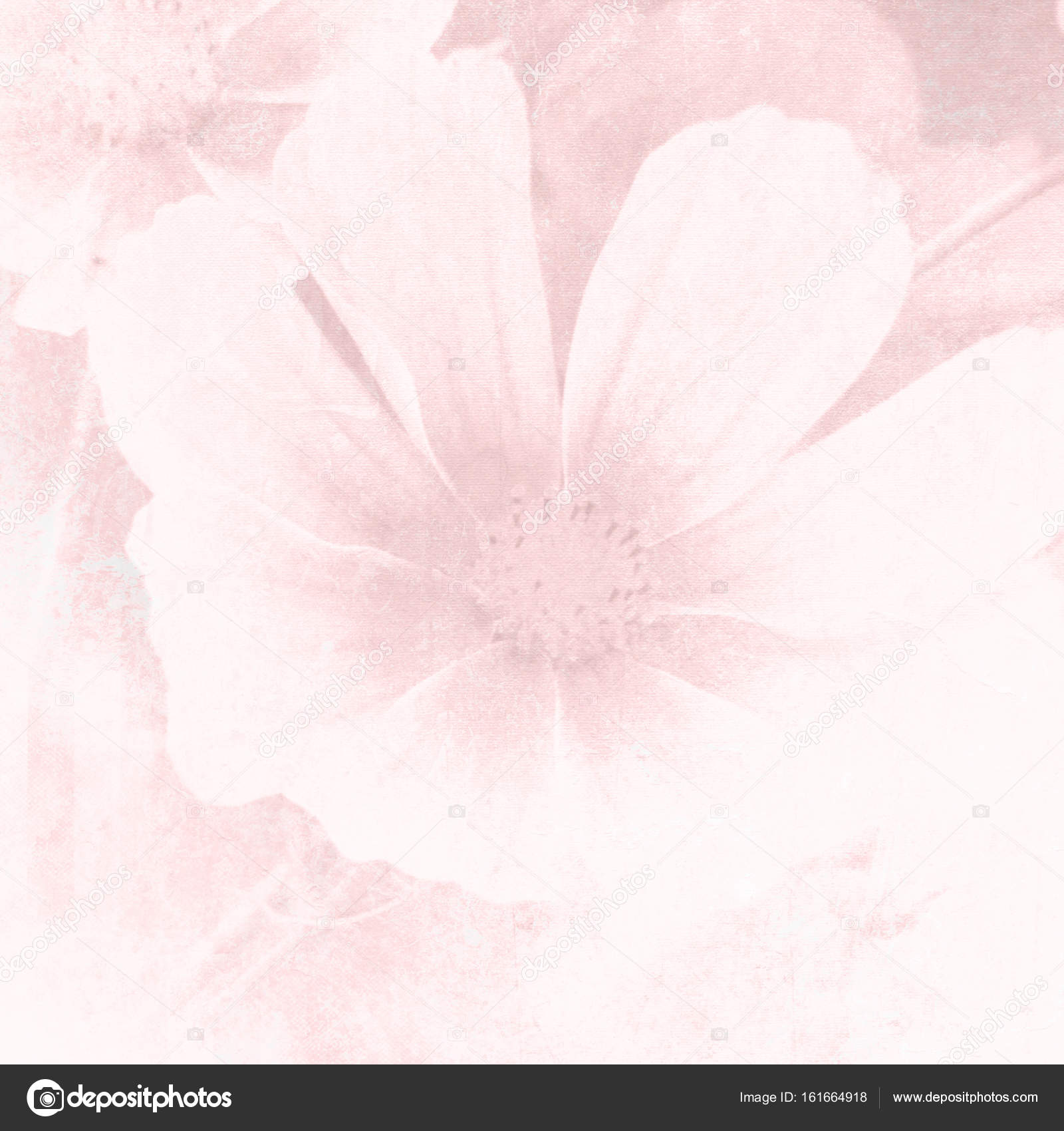Detail Soft Flower Background Nomer 14