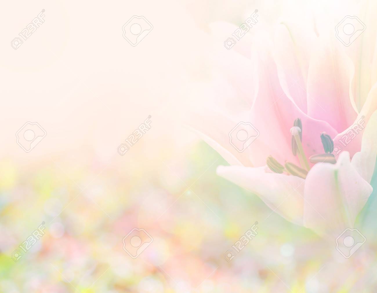 Detail Soft Flower Background Nomer 15