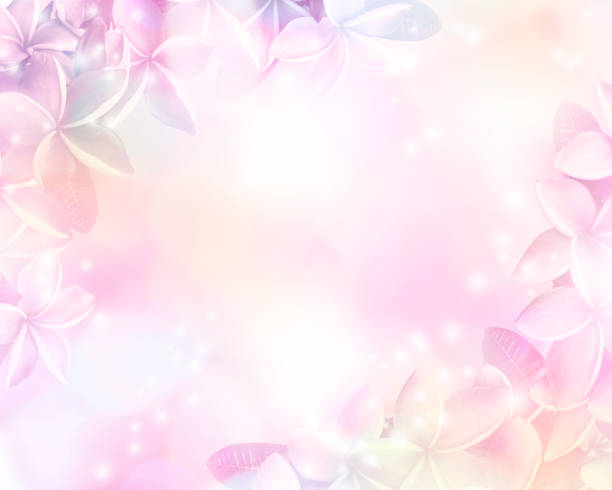 Detail Soft Flower Background Nomer 16
