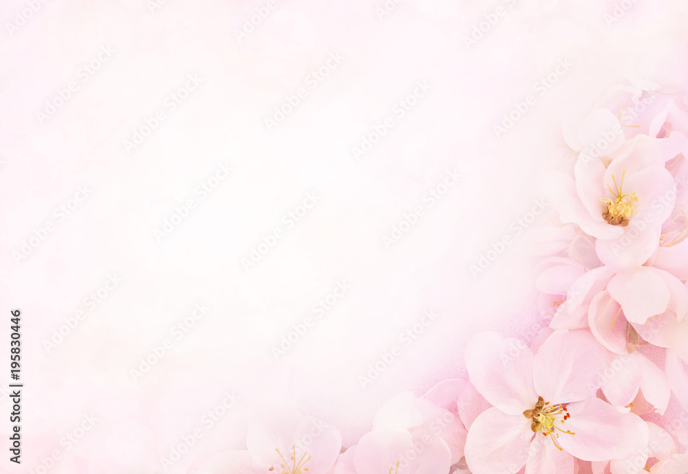 Detail Soft Flower Background Nomer 17