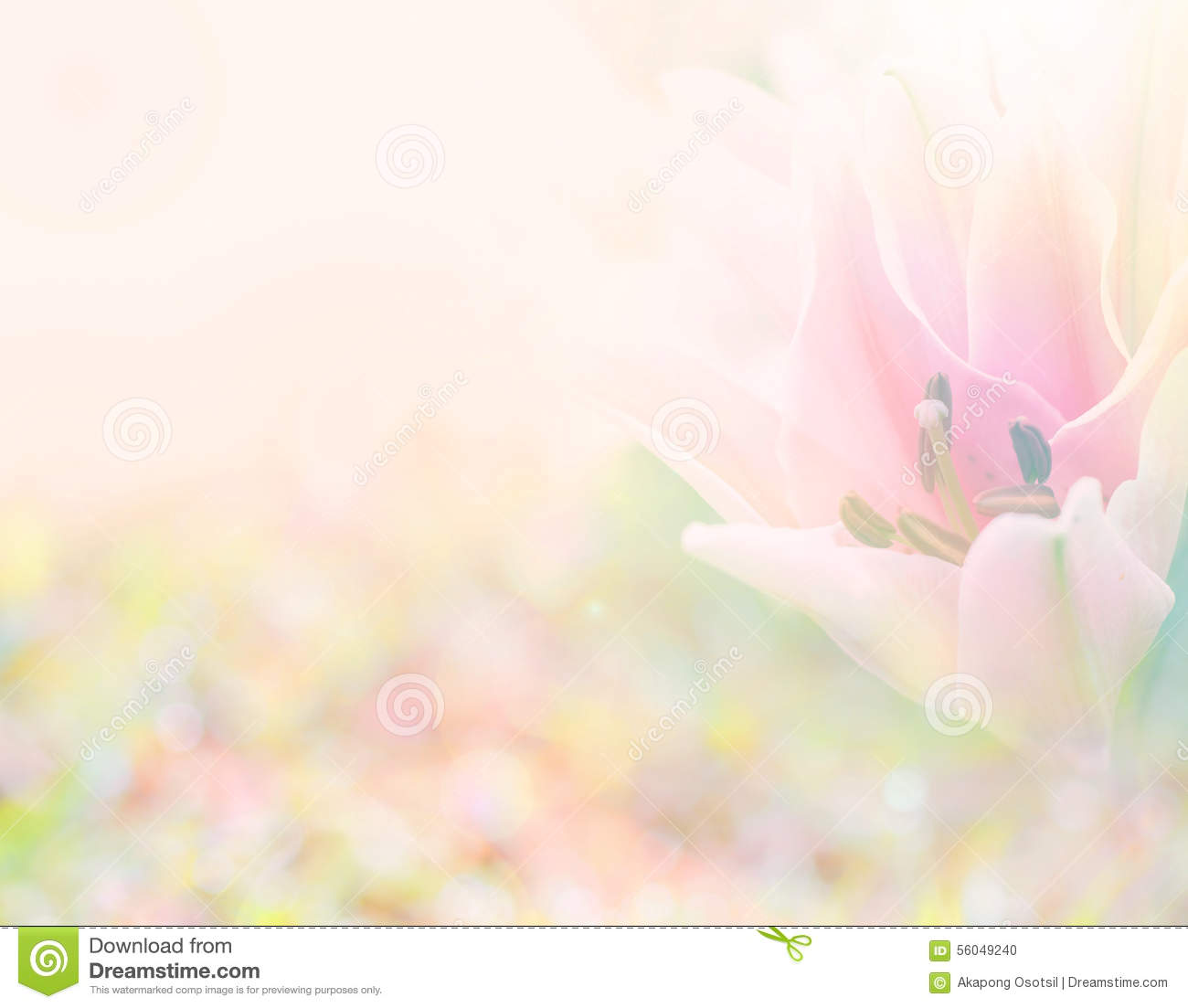 Detail Soft Flower Background Nomer 30