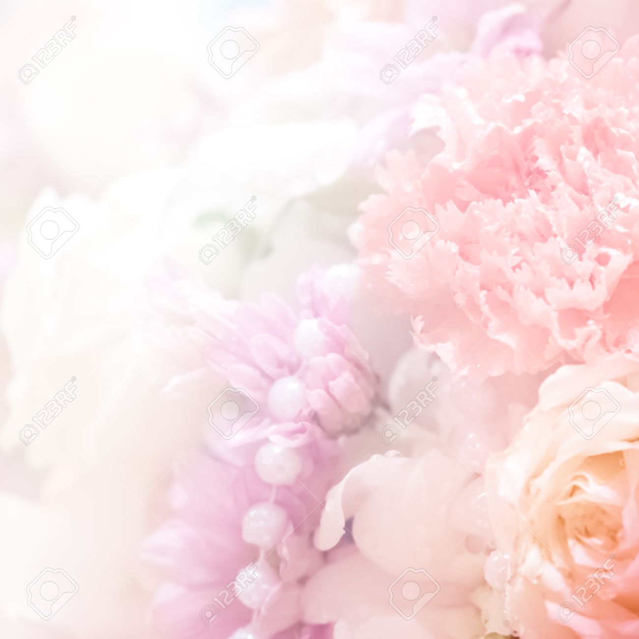 Detail Soft Flower Background Nomer 32