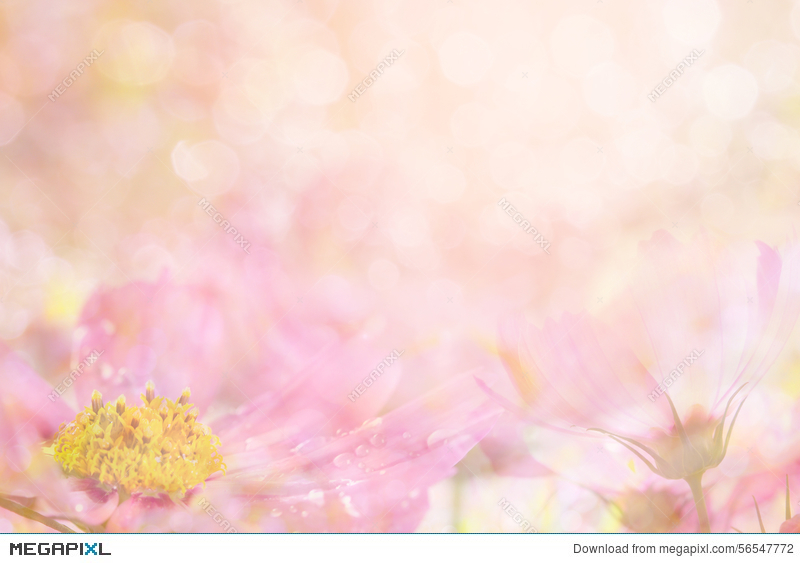 Detail Soft Flower Background Nomer 36