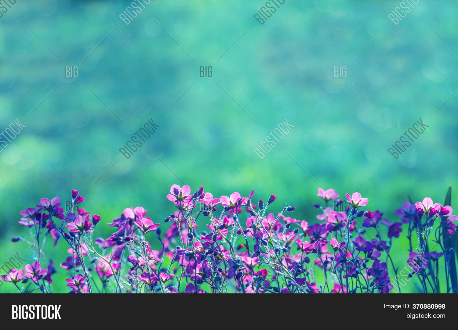 Detail Soft Flower Background Nomer 44