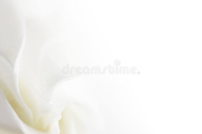 Detail Soft Flower Background Nomer 45