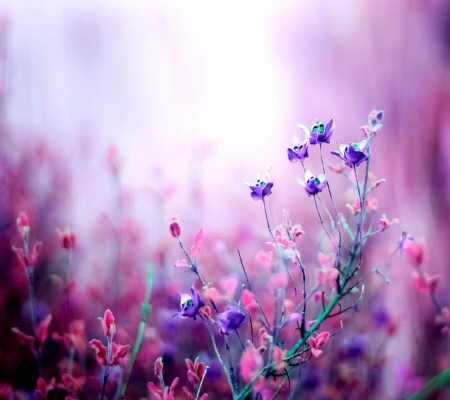 Detail Soft Flower Background Nomer 46