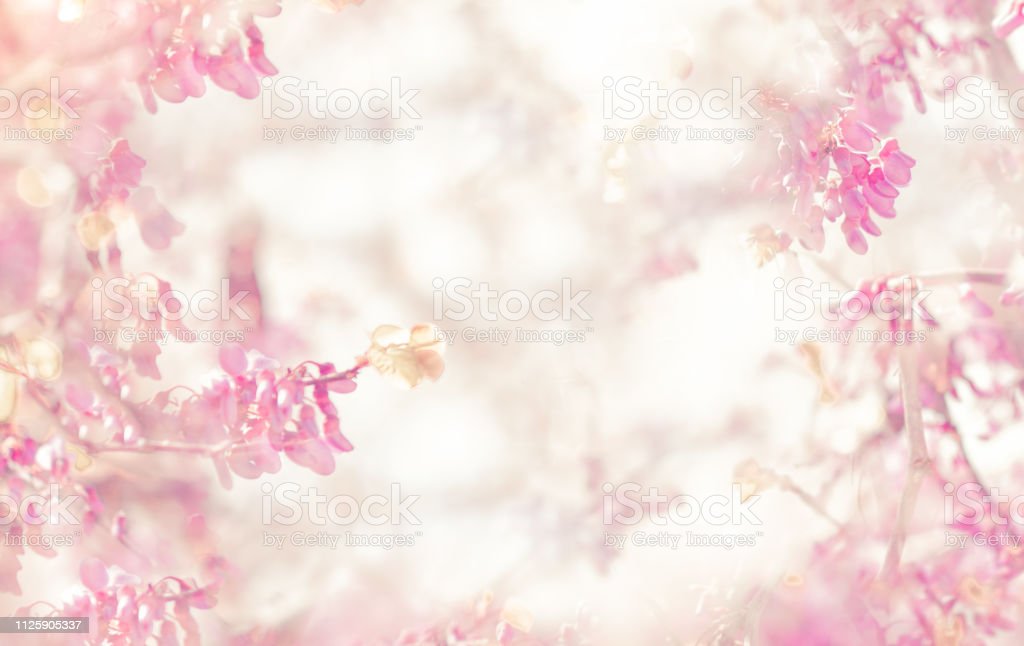 Detail Soft Flower Background Nomer 50