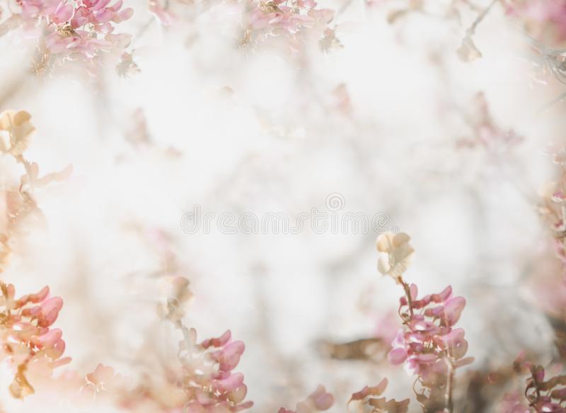 Detail Soft Flower Background Nomer 51