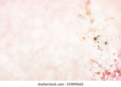 Detail Soft Flower Background Nomer 56