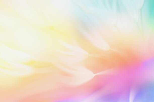 Detail Soft Gradient Background Nomer 27