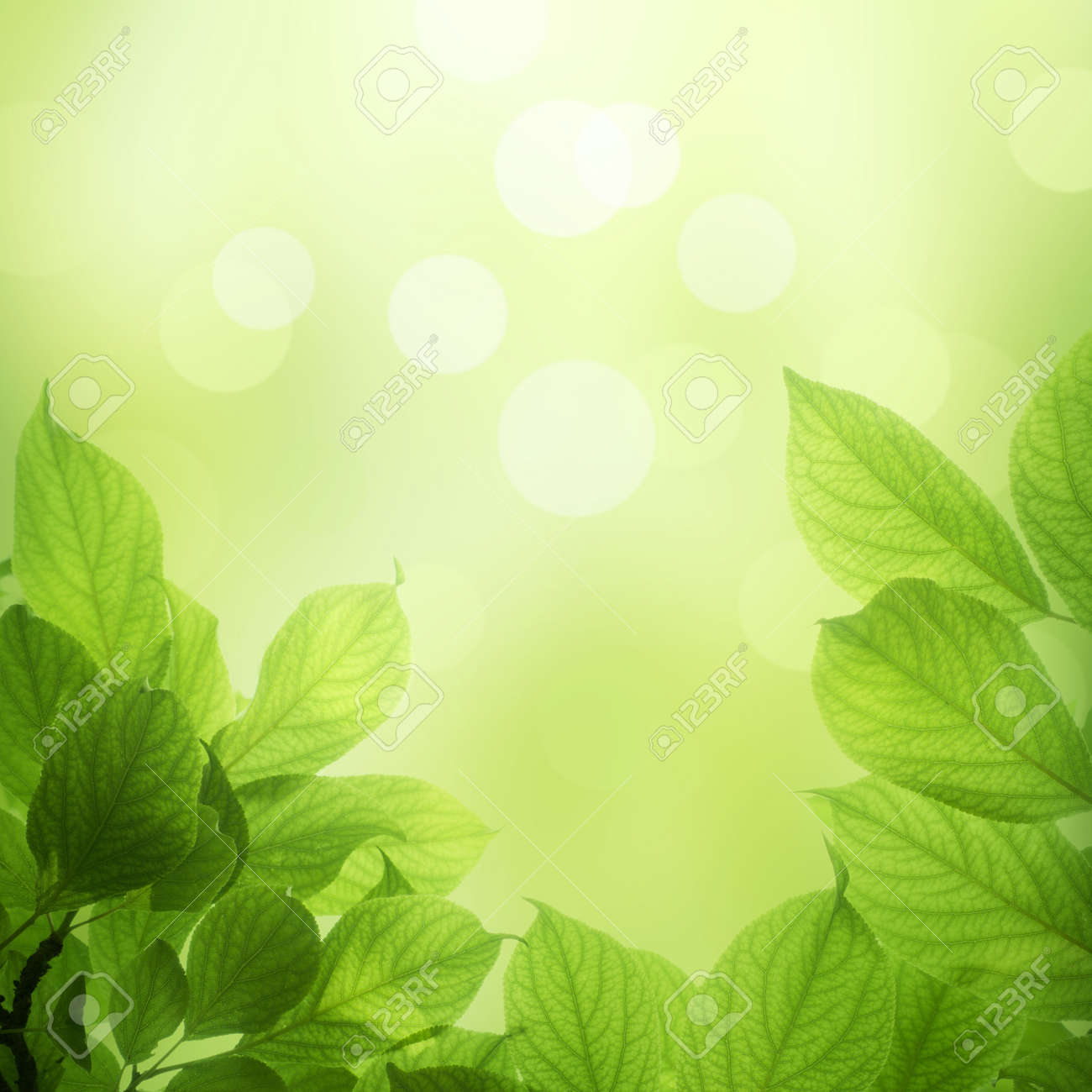 Detail Soft Green Background Nomer 22