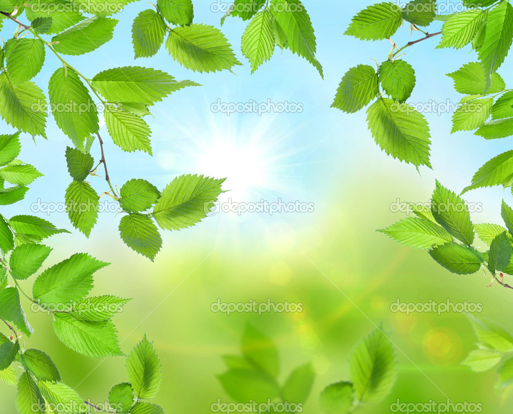 Detail Soft Green Background Nomer 33