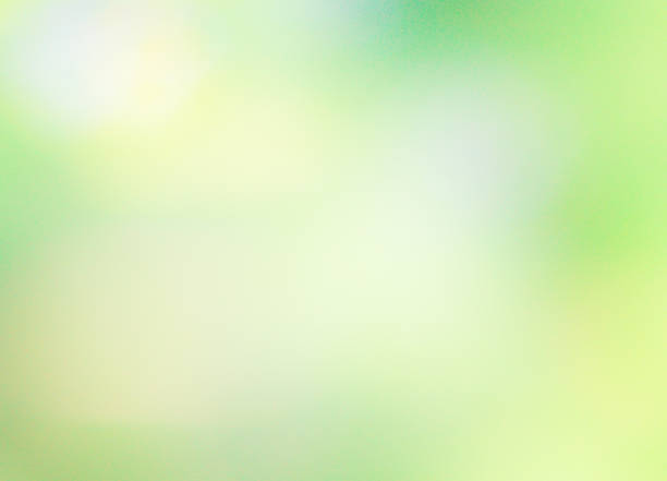 Detail Soft Green Background Nomer 7