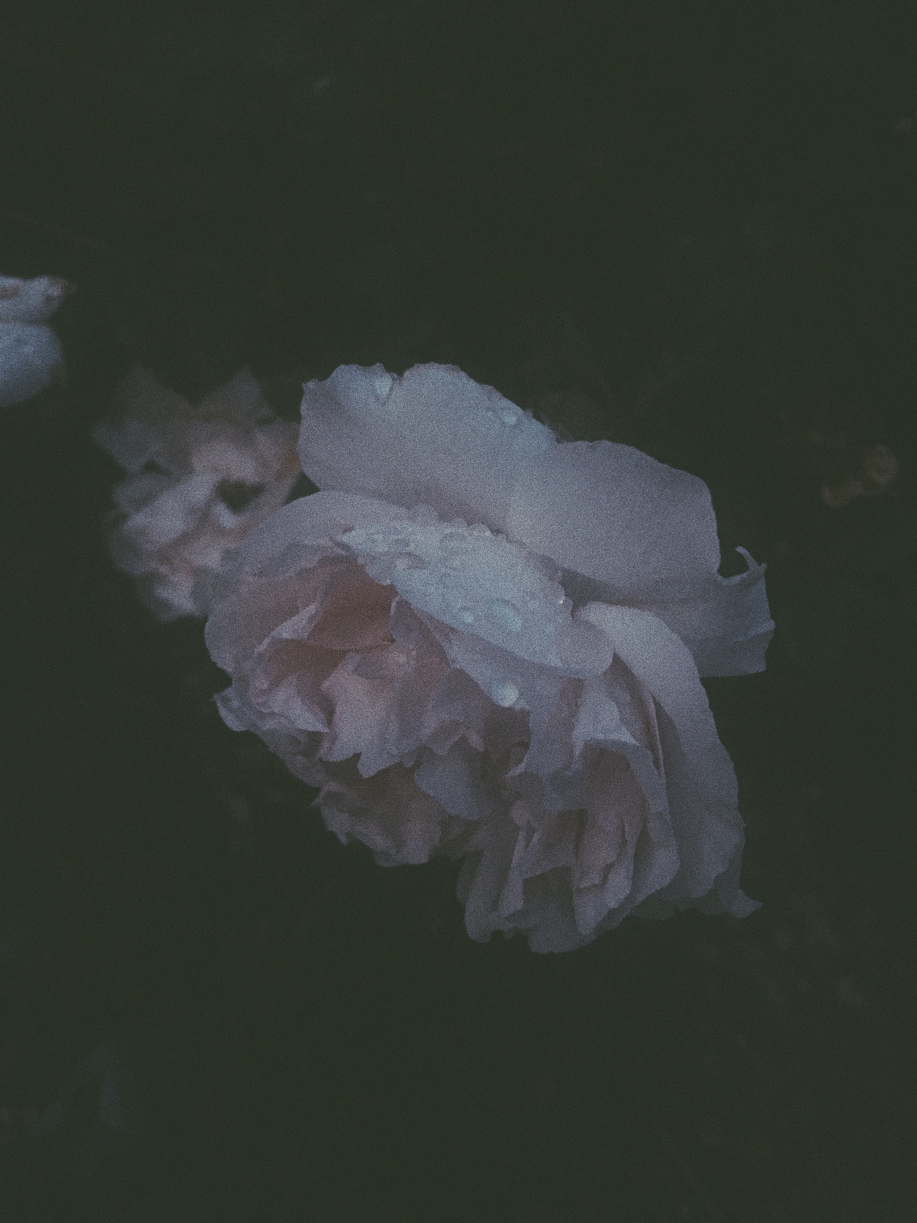 Detail Soft Grunge Background Nomer 28