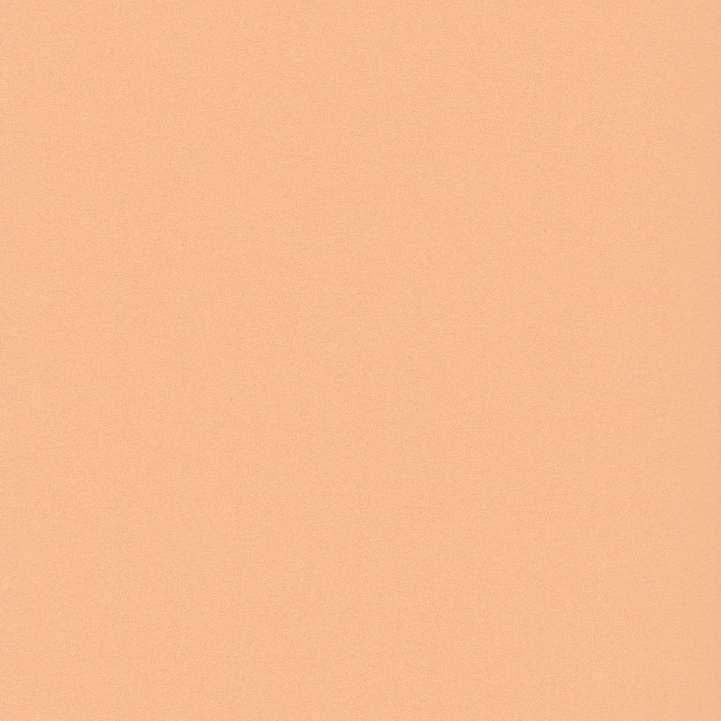 Detail Soft Orange Nomer 8