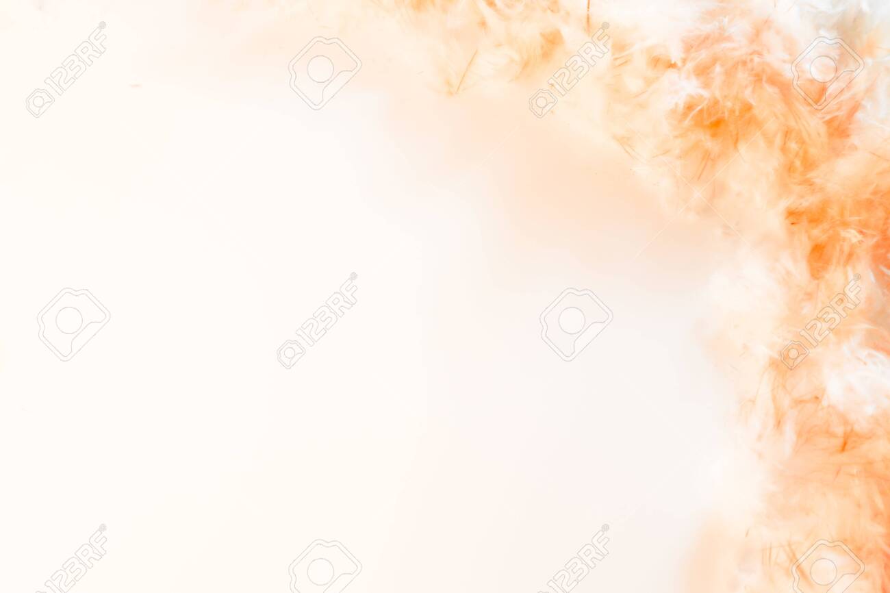 Detail Soft Orange Background Nomer 39