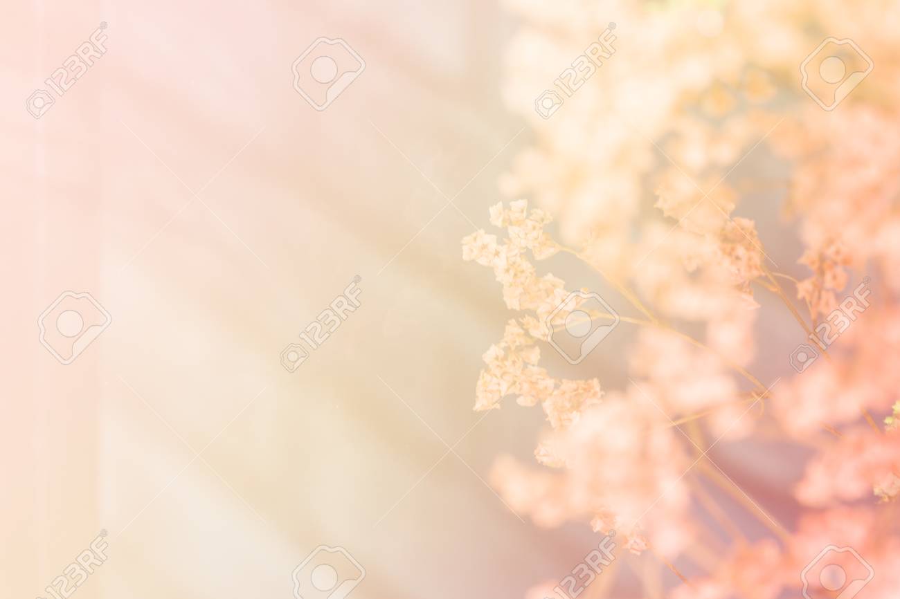 Detail Soft Orange Background Nomer 48