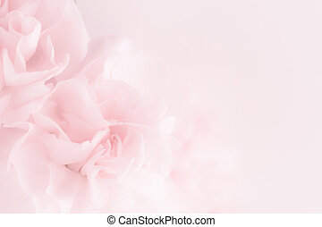Detail Soft Pink Background Nomer 34