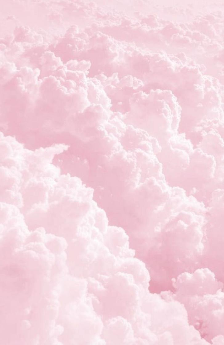 Detail Soft Pink Background Nomer 36