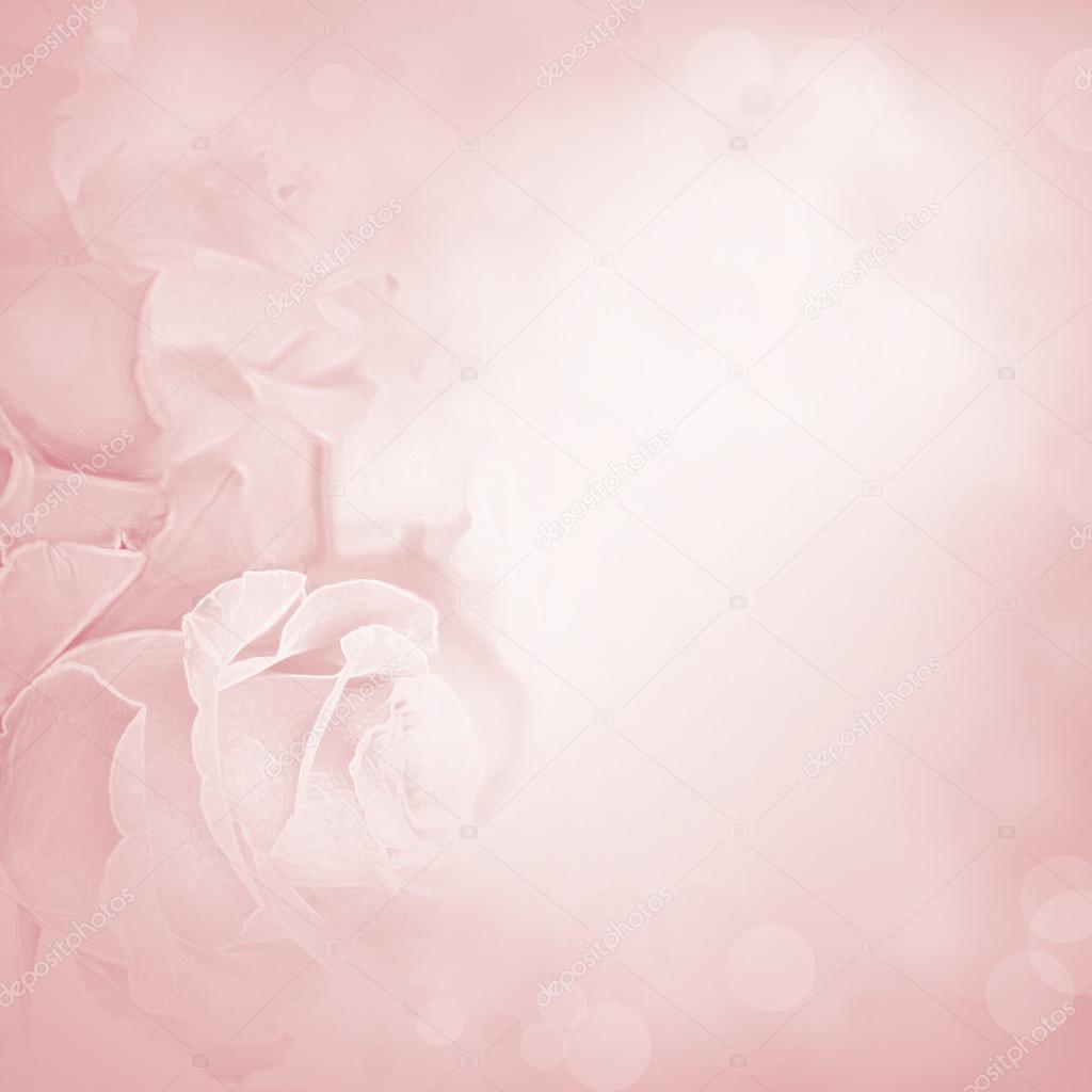 Detail Soft Pink Background Nomer 39