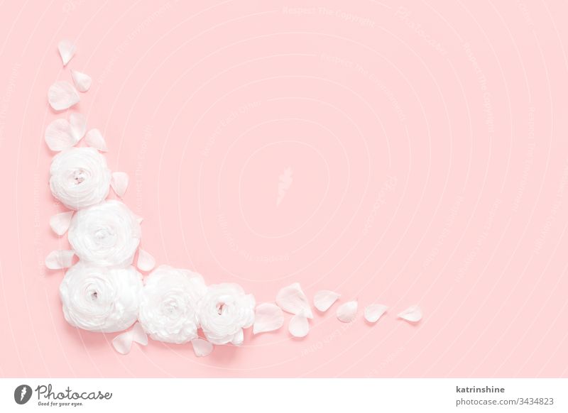 Detail Soft Pink Background Nomer 42