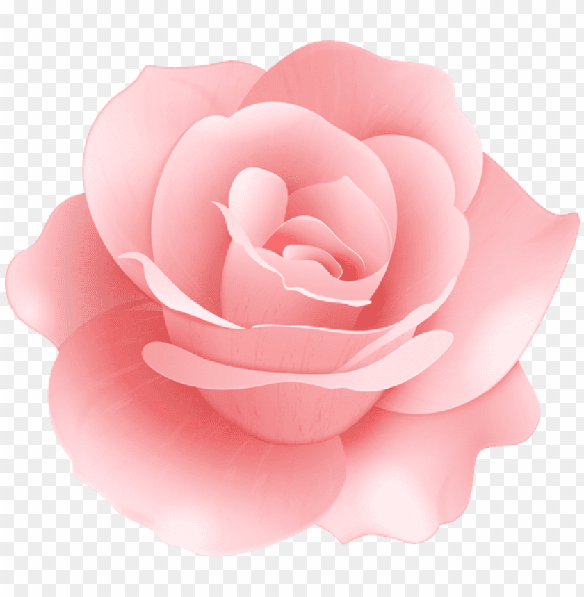 Detail Soft Pink Flower Background Nomer 48