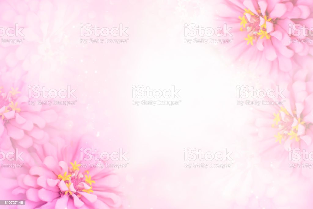 Detail Soft Pink Vintage Background Nomer 33