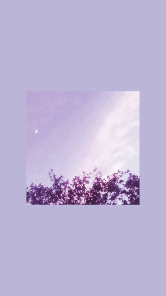 Detail Soft Purple Wallpaper Nomer 14