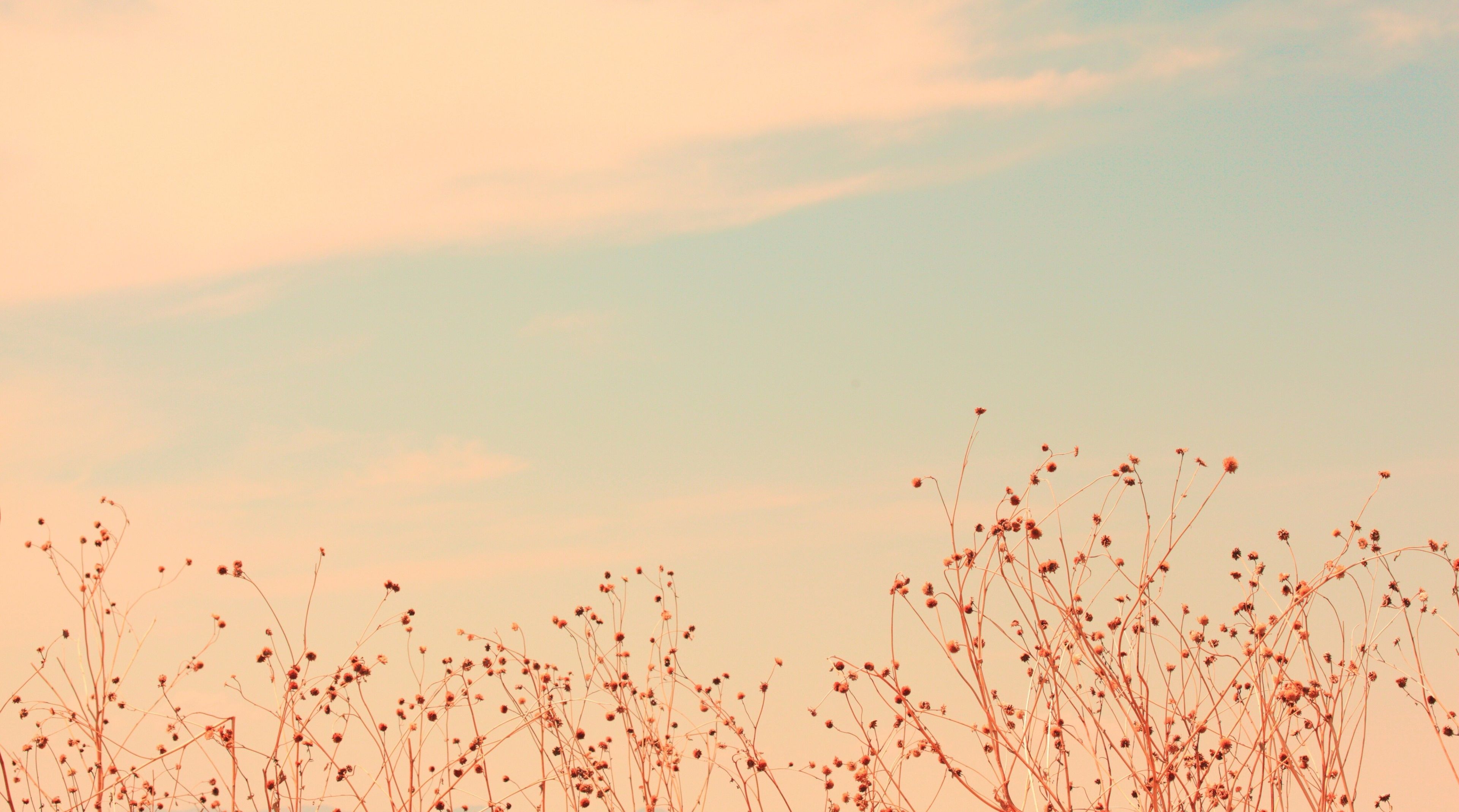 Soft Wallpaper Hd - KibrisPDR