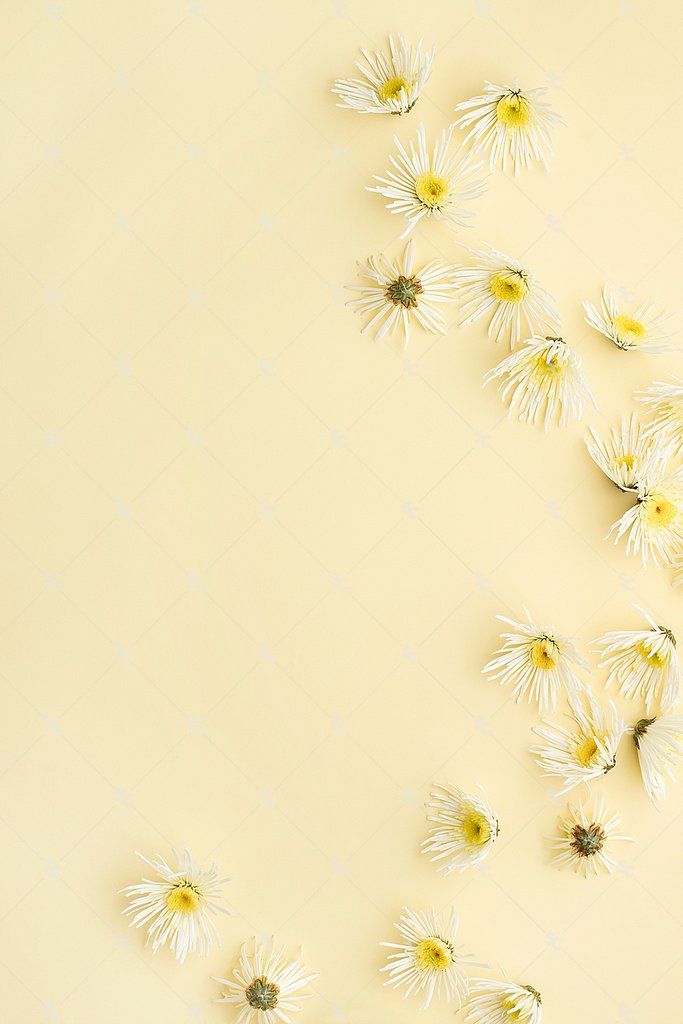 Detail Soft Yellow Background Nomer 11